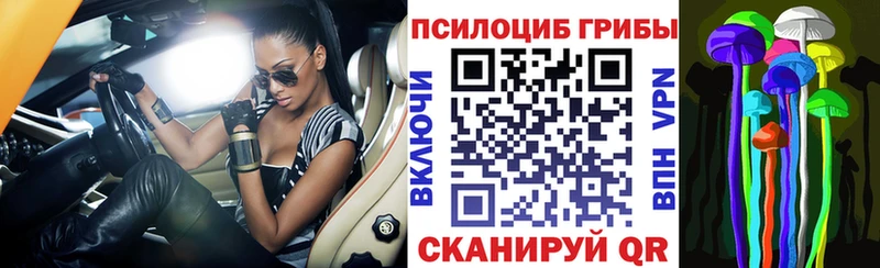 закладки  Сысерть  блэк спрут ONION  Галлюциногенные грибы GOLDEN TEACHER 